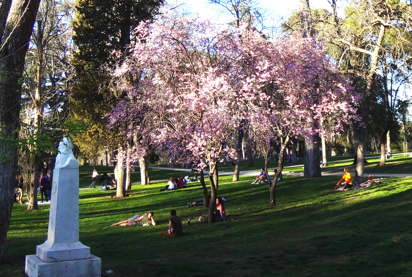 Árboles en el Parque del Retiro
